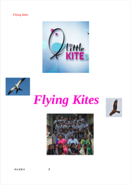 FLYING KITES ---- പഞ്ചായത്ത് എച്ച്.എസ്.പൊൽപുള്ളി