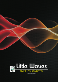 Little Waves ---- ഇ.എം.ഇ.എ.എച്ച്.എസ്.എസ്. കൊണ്ടോട്ടി